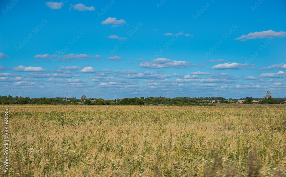 Rural landscape of a midland in Russia