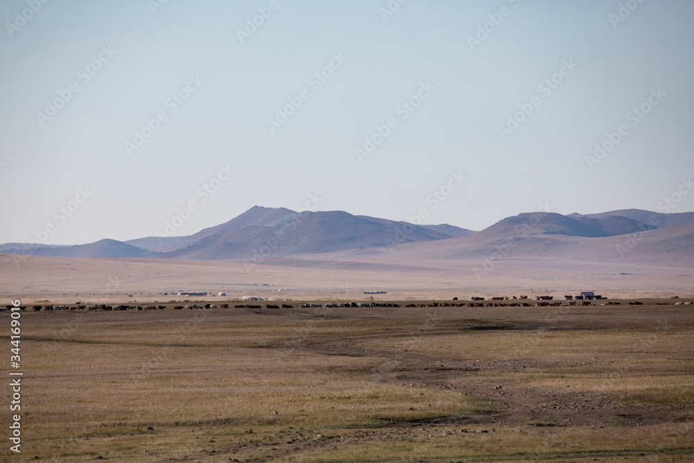 The vast wildnerness of Mongolia in central Asia.