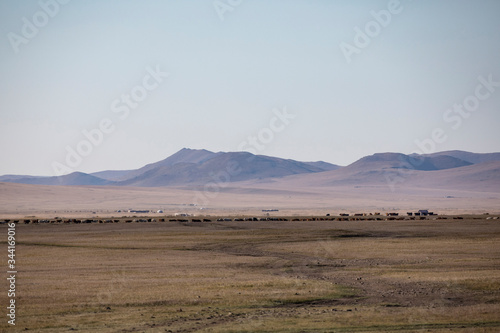 The vast wildnerness of Mongolia in central Asia.