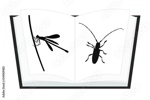 Encyclopedia Handbook of insects for determining the species. Vector stock illustration