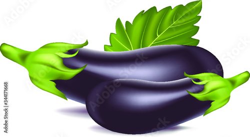 eggplant on a white background vector