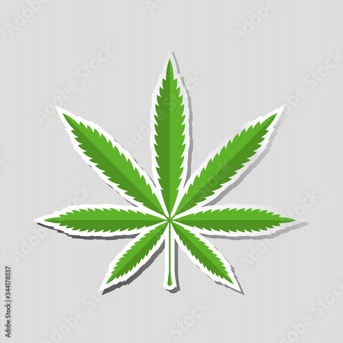Cannabis. Marijuana Leaf Drug Icon