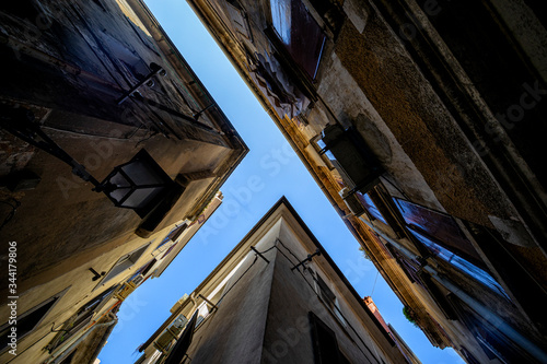 A VIEW OF THE SKY FROM THE FROG PERSPECTIVE