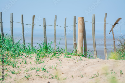 sand dunes and grass photo