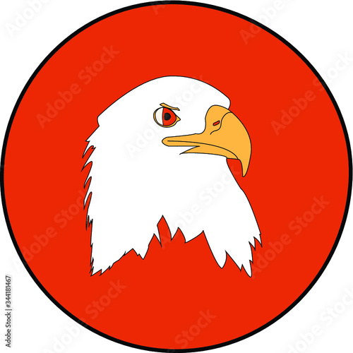 Eagle - Aquila su sfondo arancio