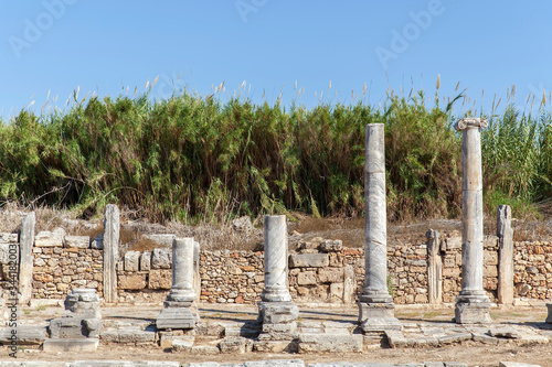 agora ruins in the ancient city of Perge Antalya located in Turkey.