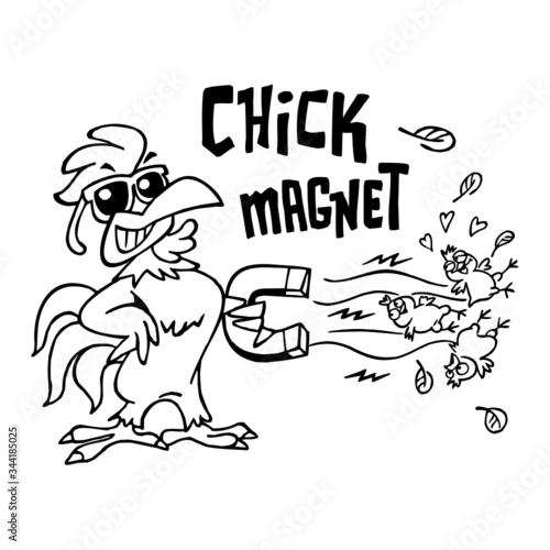 Rooster with sunglasses holding a big magnet attracting three yellow chicks, text chick magnet, black and white cartoon
