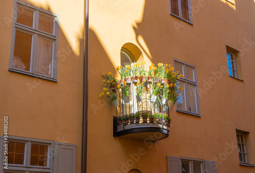 Photography Narcissus in balcony at Stockholm old town (gamla stan)
