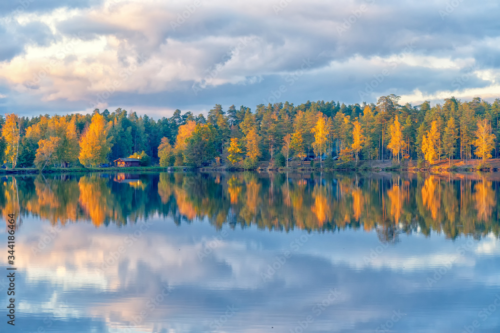 Obraz premium Autumn forest with colored leaves by the lake