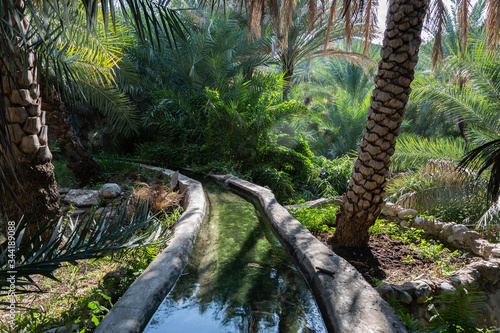 Obraz na płótnie Traditional falaj irrigation channel in date palm plantation in Oman's Wadi Abyad w salonie