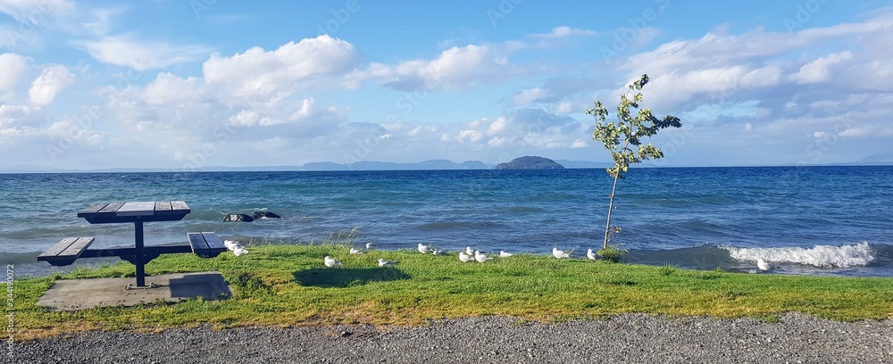 Picnic at Taupo lake, New Zealand
Picnic bench in front of the largest lake of New Zealand, Taupo lake. There are birds enjoying the view of the water and the breeze.