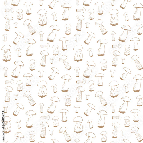 Seamless pattern with brown forest mushrooms on white background. Vector image.