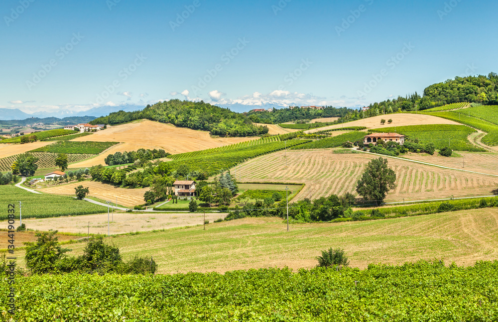 Hills and vineyards of Piedmont, Italy