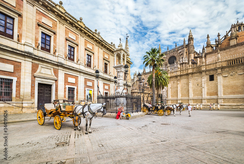 Horse carriage in Seville, the Giralda cathedral in the background, Andalusia, Spain