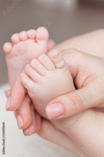 baby feet in mothers hands © Evgenia