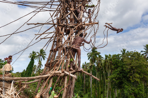 Pentecost, Vanuatu - June 2019: Traditional Melanesian Nagol land diving ceremony bungee jumping with vines from wooden towers photo