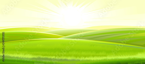 Sunny rural landscape. Vector. Green meadows and fields, grassy hills flooded with bright rays of sunlight. Ripe juicy grass. Summer, spring morning.