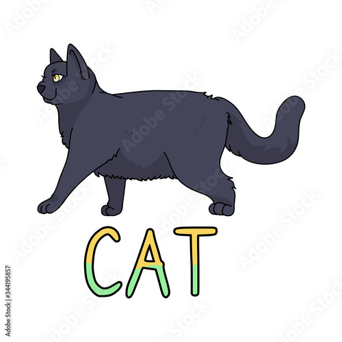 Cute cartoon British shorthair cat with text vector clipart. Pedigree kitty breed for cat lovers. Purebred domestic kitten for pet parlor illustration mascot. Isolated feline housecat. EPS 10.