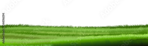 Isolated green grassy meadow. Vector. Close-up on a white background. Horizontal landscape composition. Summer, spring lawn, relief.