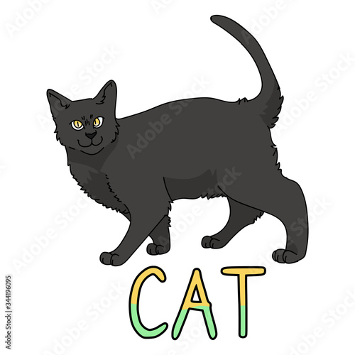 Cute cartoon Bombay cat with text vector clipart. Pedigree kitty breed for cat lovers. Purebred black domestic kitten for pet parlor illustration mascot. Isolated feline housecat. EPS 10.