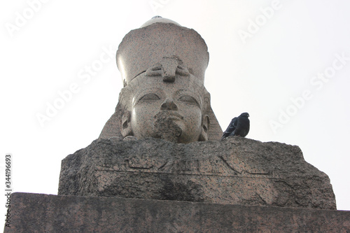 Egyptian sphinx ancient statue in Saint Petersburg  Russia. Quay with sphinxes mythical old Egypt sculptures in Saint Petersburg city  close up detailed view