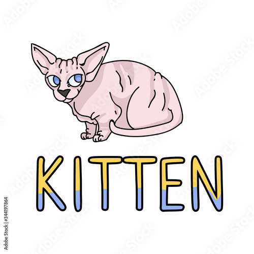 Cute cartoon sphynx kitten with text vector clipart. Pedigree exotic kitty breed for cat lovers. Purebred domestic cat for pet parlor illustration mascot. Isolated hairless feline housecat. EPS 10. 