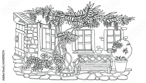 coloring, cute courtyard with a bench under the windows, wisteria bush, ivy, black and white, vector