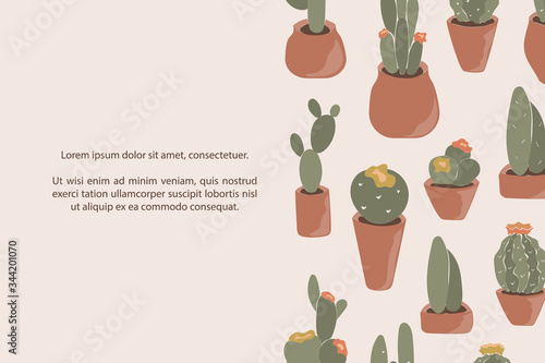 Cactus icons background wit...