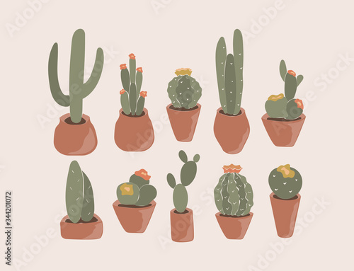 Cactus icons set. Collection of home pot blooming flowers in flat style. Decorative natural plant elements isolated on white background. Vector floral illustration.