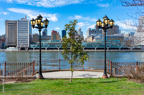 Fototapet A Small Green Tree and Street Lights along the East River at Roosevelt Island in