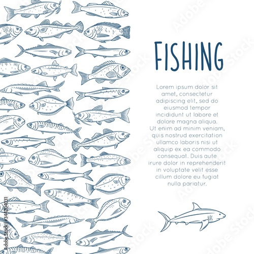 Outline fish layout