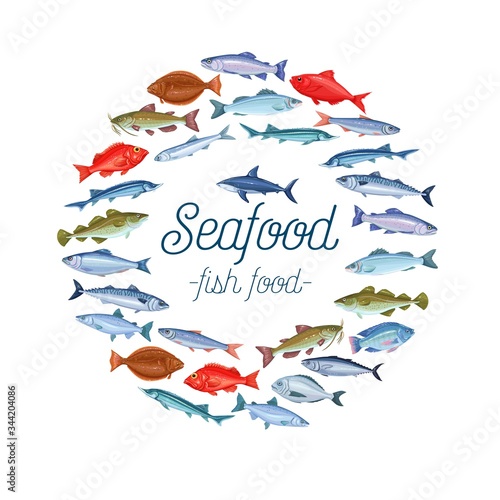 Vector fish banner layout