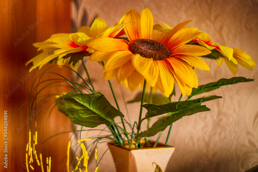 Fototapeta premium yellow flowers in a pot