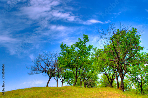 A beautiful spring landscape with green trees on the top of the hill