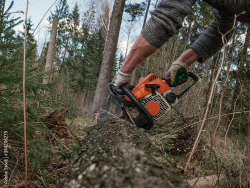 lumberjack cuts down trees with a chainsaw