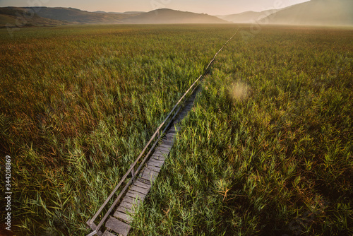 Sunrise beautiful landscape with a reed plain with a wooden bridge, mountains in the distance.