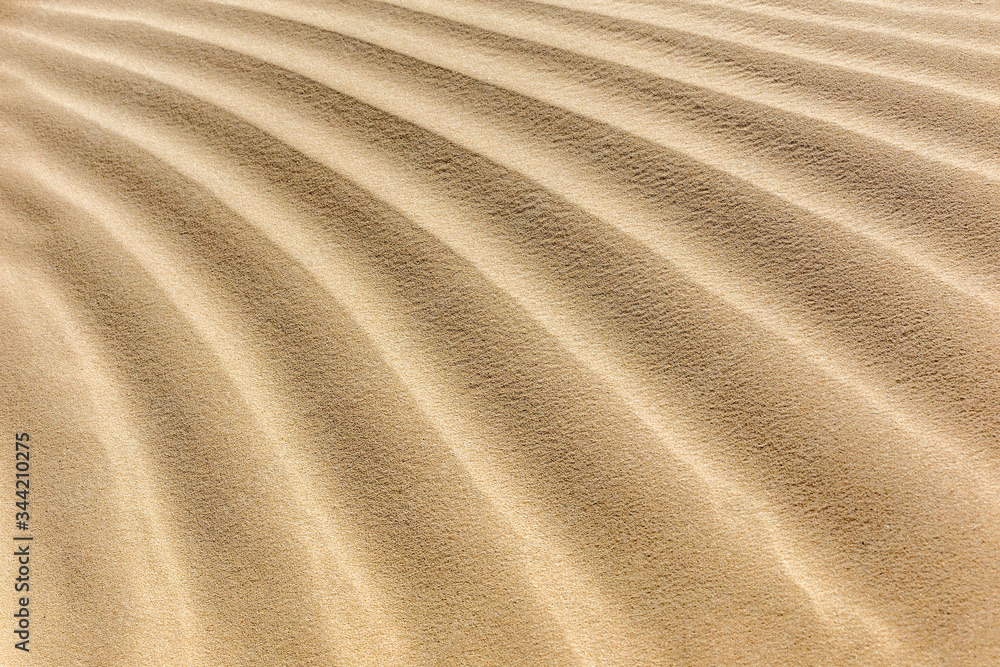 Obraz premium Textures On The Sand Background