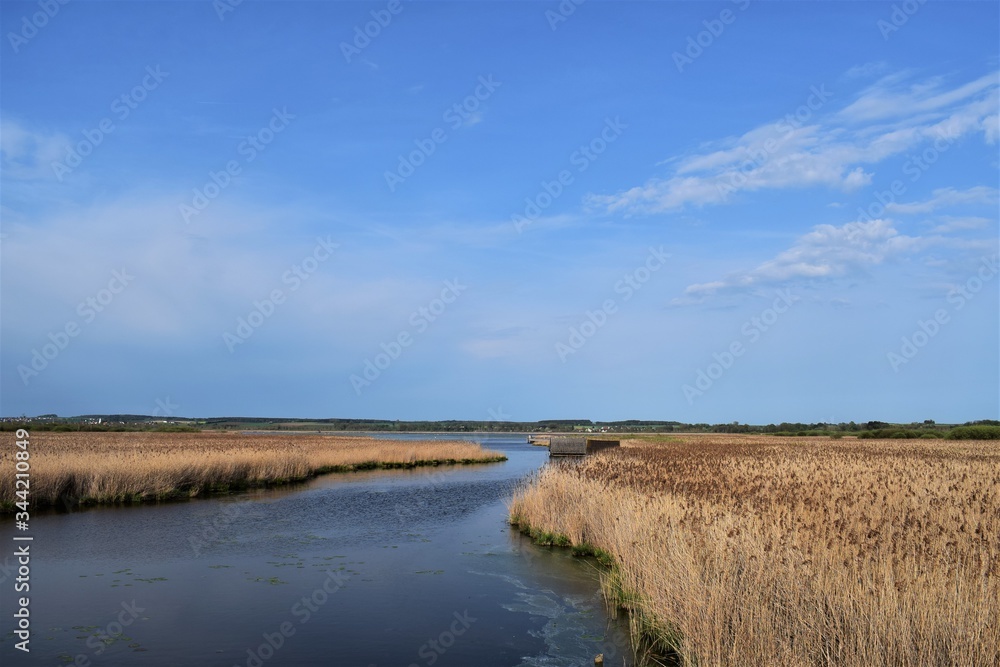 Herrliche Natur - Federsee Bad Buchau Herrliche Natur - Federsee Bad Buchau