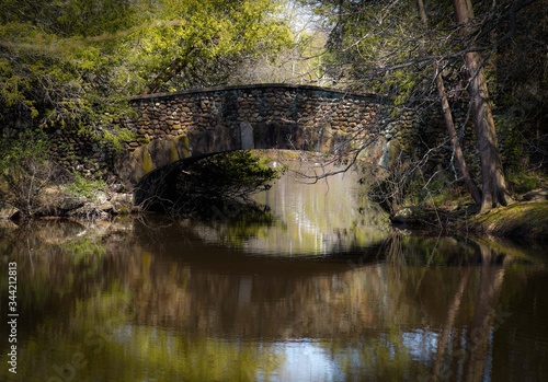 Fototapeta Naklejka Na Ścianę i Meble -  bow bridge over the river with greenery in park like setting 