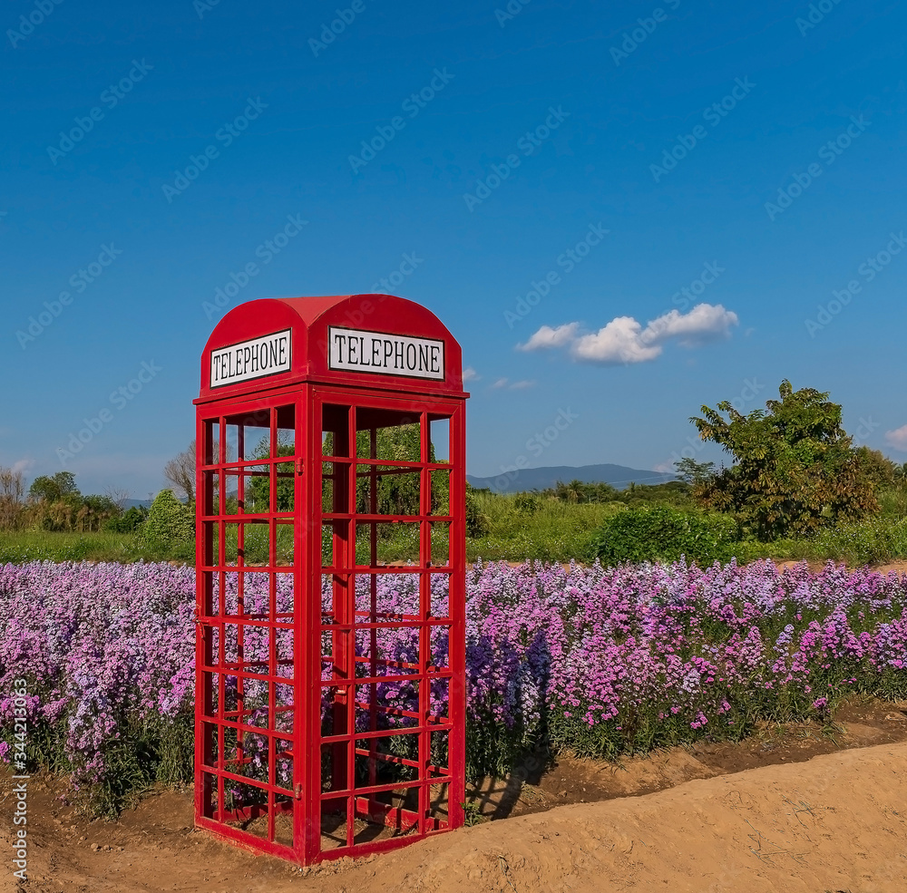 Antique telephone box Antique telephone box