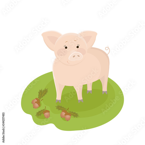 Cute cartoon pig with acorns and oak leaves on green grass. Vector hand drawn illustration. © Anna