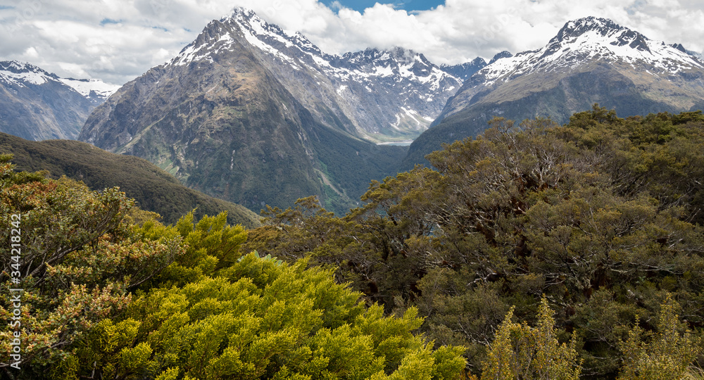 Views on mountain peaks with trees in foreground. Shot on Routeburn Track, New Zealand.