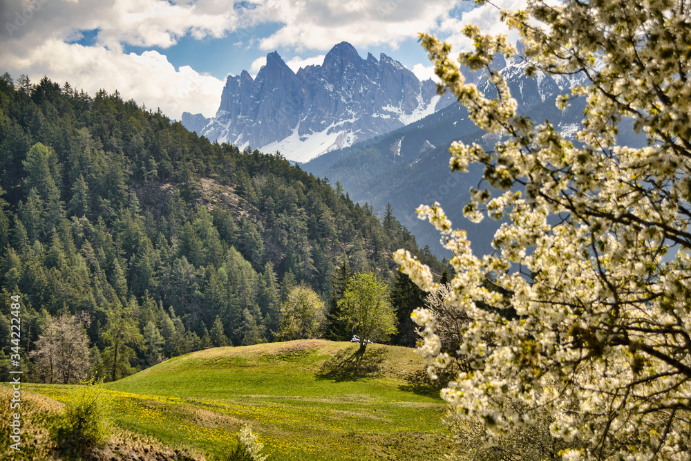 Odle of Funes in Southtirol in Italy by zippl