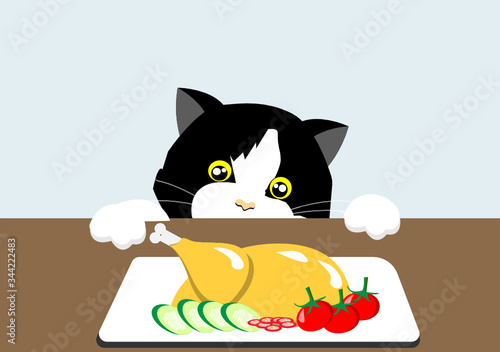 Curious adorable tuxedo cat looking at roast turkey on table. Isloated on light blue background. Vector Illustration. Idea for funny bad cat behavior/instinct.