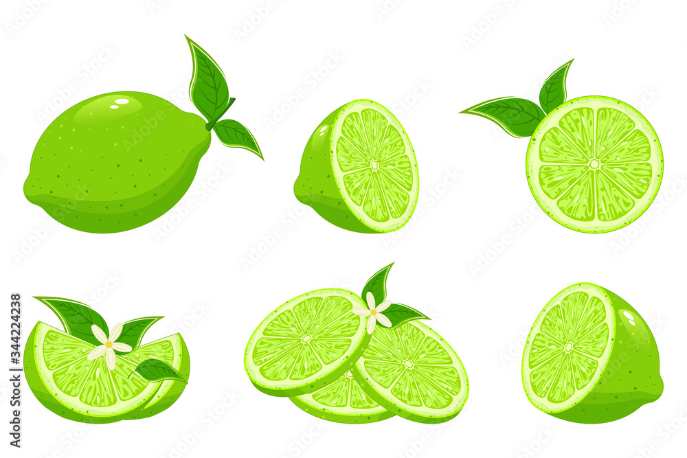 Fresh lime and lime juice. Limes slices, green citrus fruit with leaves and lime blossom isolated vector illustration set.