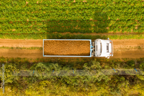 Truck loaded with fresh picked Potatoes crossing a filed, Aerial image.