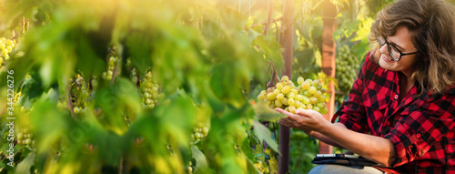 Photos Woman farmer at the grape farm