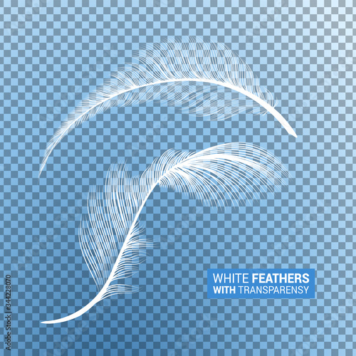Feathers, white fluffy isolated falling plumes with transparent effect on blue background. Realistic 3D goose bird feathers quills with fluff plumage texture, flying and falling abstract shapes design