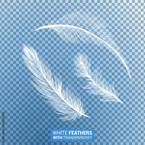 Feathers, white fluffy isolated falling plumes with transparent effect on blue background. Realistic 3D goose bird feathers quills with fluff plumage texture, flying and falling abstract shapes design