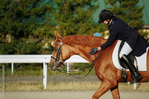 Young woman in special uniform and helmet riding horse. Equestrian sport - dressage.